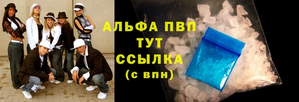 ECSTASY Богородицк