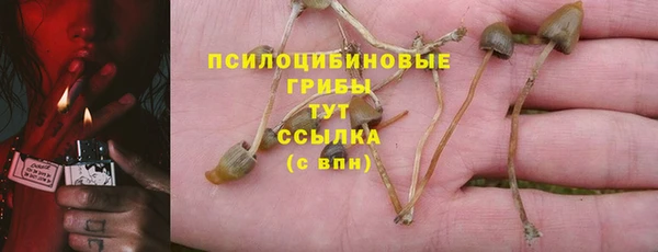 apvp Богородск