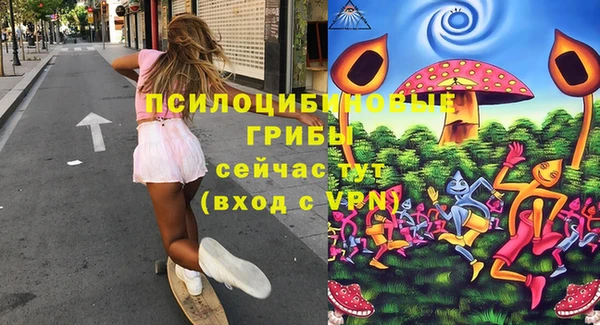 ECSTASY Богородицк