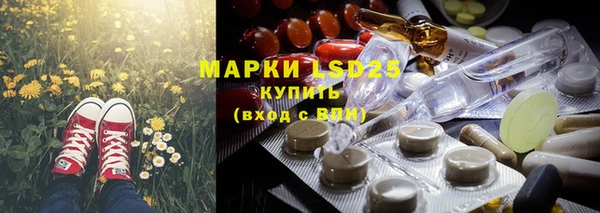 ECSTASY Богородицк