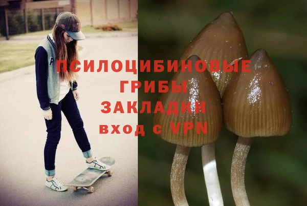 apvp Богородск