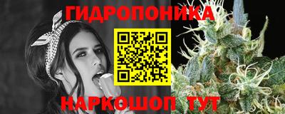 сатива Балахна