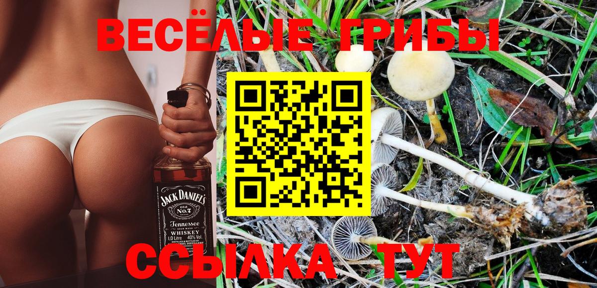 Воскресенск  Галлюциногенные грибы MAGIC MUSHROOMS  Галлюциногенные грибы MAGIC MUSHROOMS  Вход с VPN 