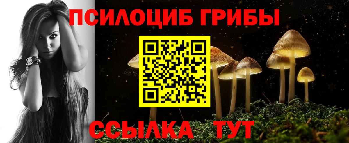 Псилоцибиновые грибы мицелий  Воскресенск  Псилоцибиновые грибы MAGIC MUSHROOMS 