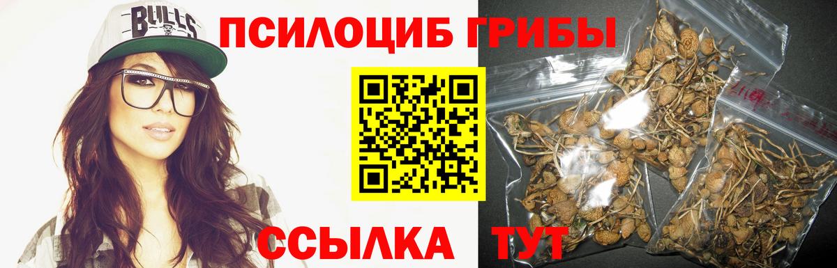 Псилоцибиновые грибы GOLDEN TEACHER Воскресенск